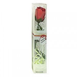 Мыло Роза красная в прямоугольной прозрачной упаковке (380)