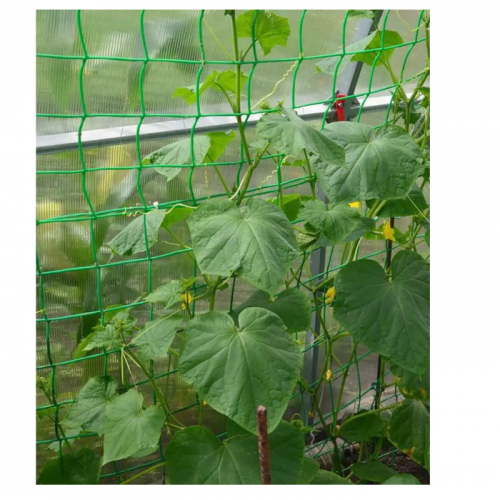 Сетка огуречная шпалерная 1,7м х 10 м зеленая, ячейки 18 х 13 с ультрафиолетовым стабилизатором