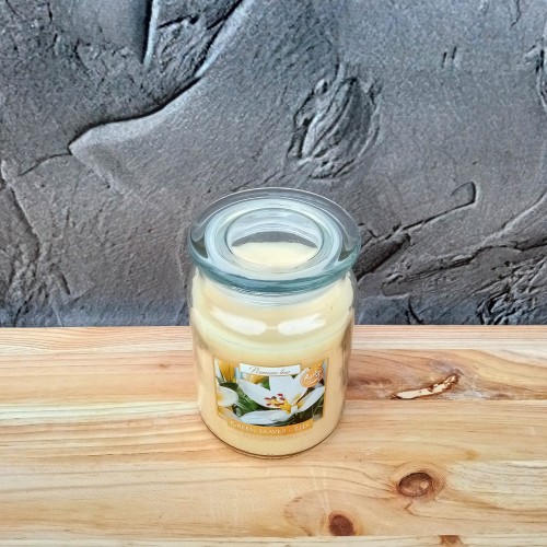 Ароматическая свеча Green leaves - Lily 500 г, Bispol. Польша (6)