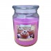 Ароматическая свеча Blueberry Dessert 500 г, Bispol. Польша (6)