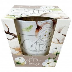 Ароматическая свеча Christmas Eve Golden Apple 115г. Bartek. Польша. (12)